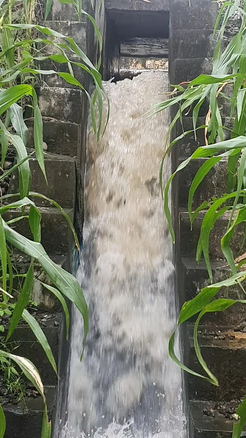 Waterfall flowing on river rocks Stock Footage 312213594