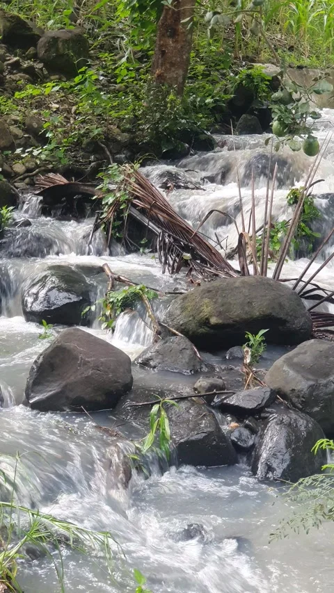 Waterfall flowing on river rocks Stock Footage 312237032
