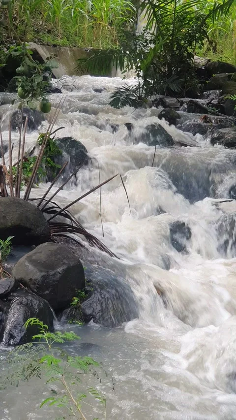 Waterfall flowing on river rocks Stock Footage 312237700