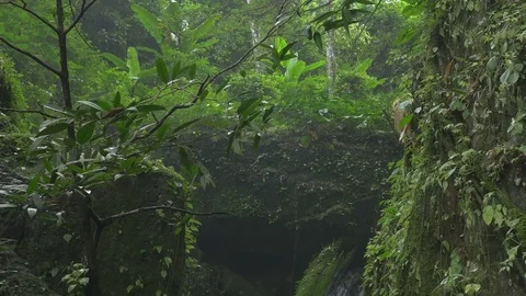 Waterfall from flowing river in tropical forest with sound Stock Footage 80825439