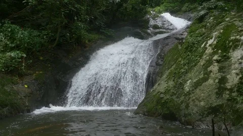 Waterfall from flowing river in tropical forest with sound Stock Footage 80825448