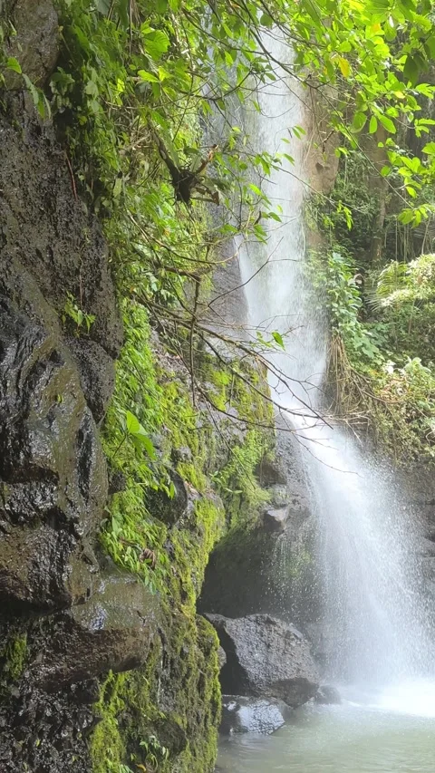 Waterfall Flowing into Rock Pool in Tropical Forest Vertical 스톡 동영상 324079064