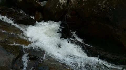 Waterfall flowing on rocks in forest Stock Footage 107474703