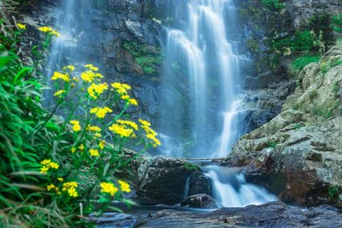 Waterfall flowing streams through rocks in forest with blurred water surface  Фото
