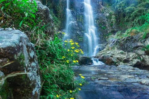 Waterfall flowing streams through rocks in forest with blurred water surface  Stock Photos