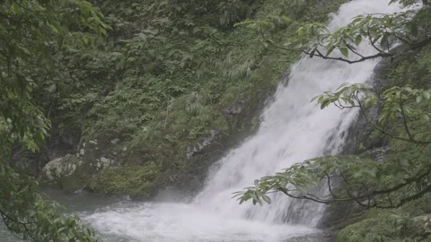 Waterfall Flowing Through Forest Rocks Vídeos de archivo 343571275