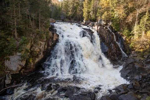 Waterfall flowing through the forest rocks. Stock Photos