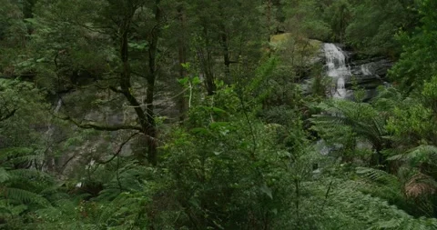 Waterfall Flowing Through Green Rainforest Video stock 332287552