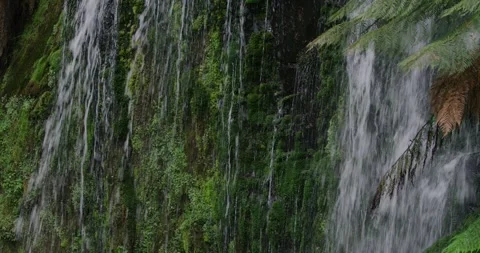 Waterfall Flowing Through Green Vegetation, 8K Video stock 332288170