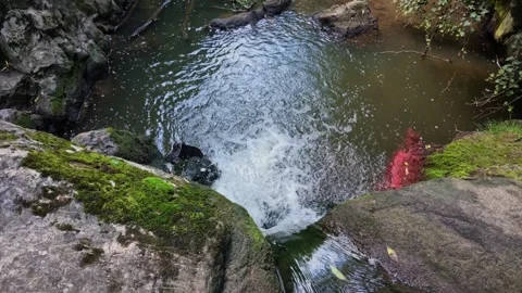 Waterfall Flowing Through a Mountain Stream Gorge in the Mountains Video stock 343538319