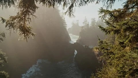 Waterfall Flowing Through Tree Leaves – Tranquil Forest Water Scene Stock Footage 315098660