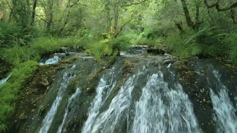 Waterfall Flowing Through Vegetation In Forest. pullback shot Video stock 284339482