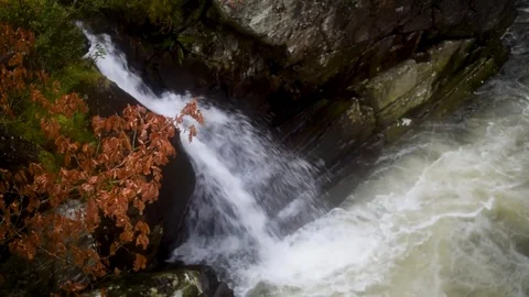 A Waterfall Flows Beyond the Orange Leaves of an Autumn tree 動画素材 81717081