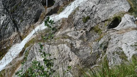 A waterfall flows down behind grass in summer (slow motion) Video stock 219644585