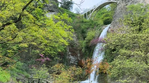 Waterfall flows down a mountain slope surrounded by dense green vegetation in a Video stock 338001481