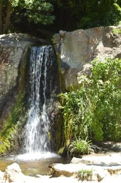 The waterfall flows down from the stones overgrown with plants in the summer  Stock Photos