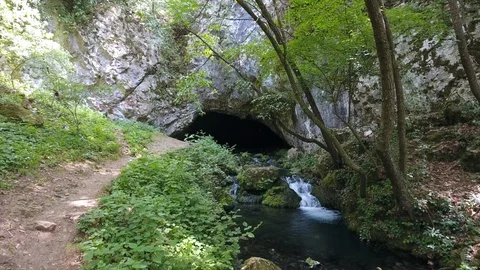 Waterfall flows out cave and stream runs in forest past path Stock Footage 101741313