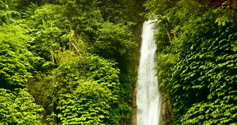 Waterfall flows over cliff edge through forest Stock Footage 132177931