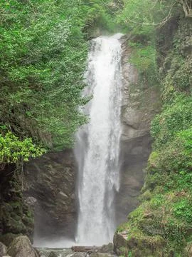 Waterfall flows over rocks in a green wooded gorge. High waterfall in the Stock Photos