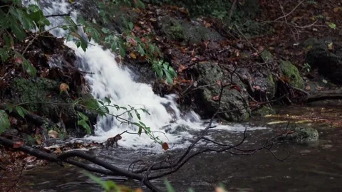 Waterfall that flows into the pond 動画素材 165242031