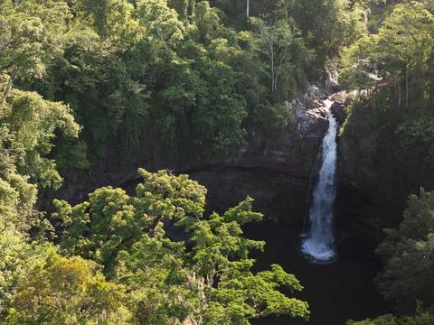 Waterfall flows into a pool surrounded by green trees in forest area Stock Photos
