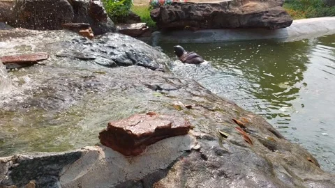 The waterfall flows slowly Stock Footage 263554748