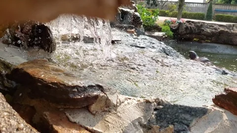 The waterfall flows with strong splashes Stock Footage 263546784