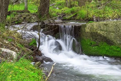 A waterfall that flows surrounded by greenery Stock Photos