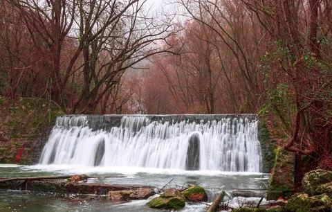 A waterfall that flows surrounded by trees Stock Photos