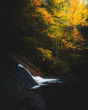 The waterfall flows through the forest under the changing leaves. Stock Photos
