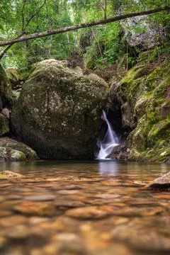 Waterfall flows through lush rainforest landscape. Stock Photos