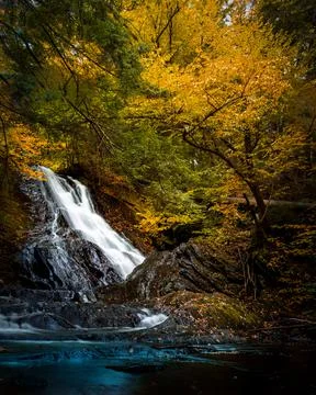 The waterfall flows under the changing trees. Stock Photos