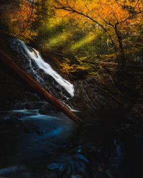 A waterfall flows under the foliage canopy with light pouring through. Stock Photos
