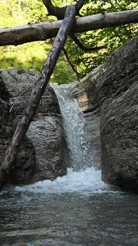 A waterfall flushing into a pond between rocks and deadwood, slow motion Stock-Footage 288325448