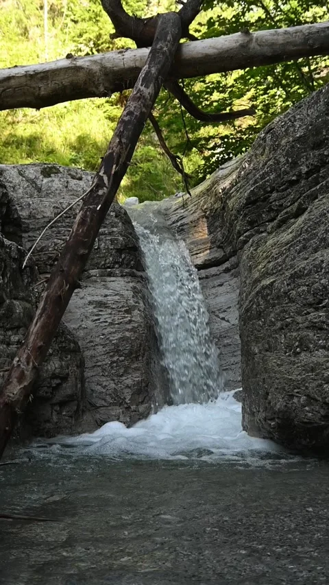 A waterfall flushing into a pond between rocks and deadwood, slow motion Video stock 288325450
