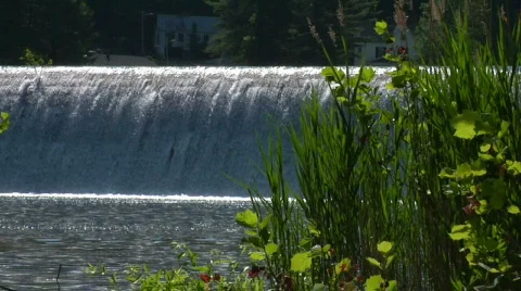 Waterfall with Foilage Stock Footage 302966