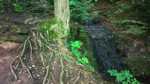 Waterfall at the foot of the mountain. Stock Footage 253556927