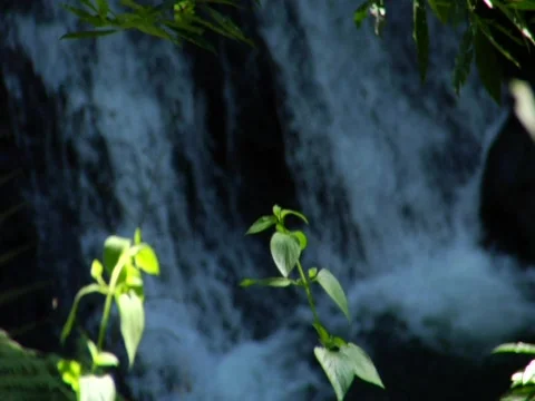 Waterfall Stock Footage 487783