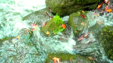 Waterfall Video stock 533446