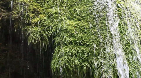 Waterfall Stock Footage 885604