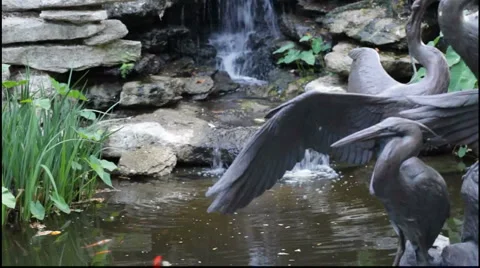 Waterfall. Stock Footage 917895