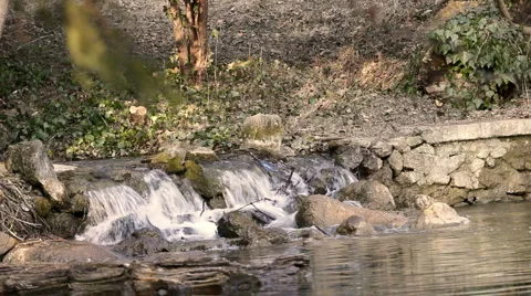 Waterfall  Vídeos de archivo 1216986