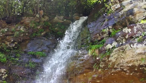 Waterfall Video stock 4945514