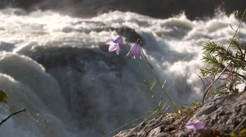 Waterfall Stock Footage 8973951