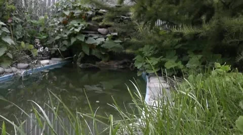 Waterfall Видео 10591070