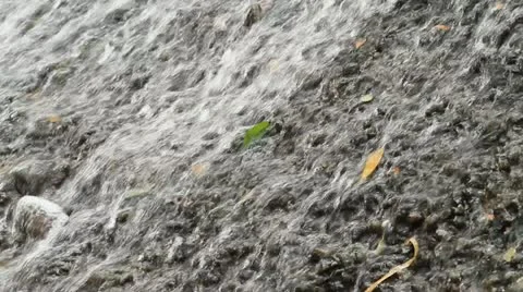 Waterfall 库存影片 11224666