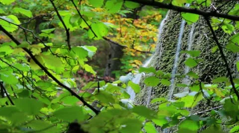 Waterfall. Video stock 21234662