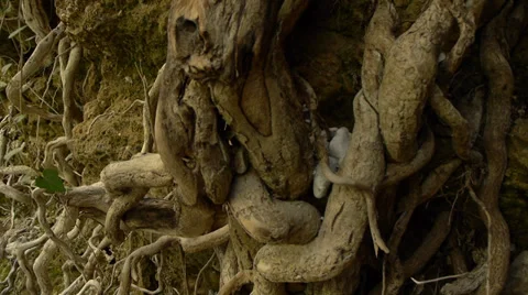 Waterfall Stock Footage 35553652