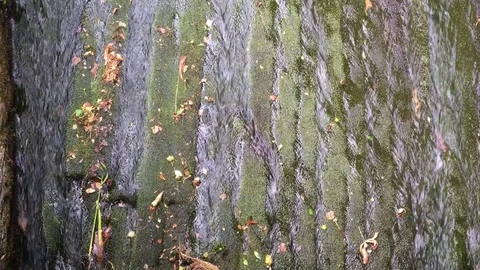 Waterfall Vídeos de archivo 77694395