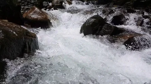 Waterfall. Stock Footage 79474222